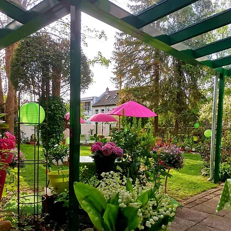 호텔 Schifferkrug & Weinstube