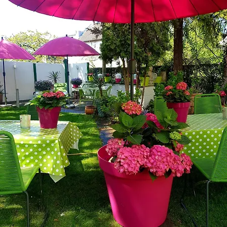 Schifferkrug & Weinstube